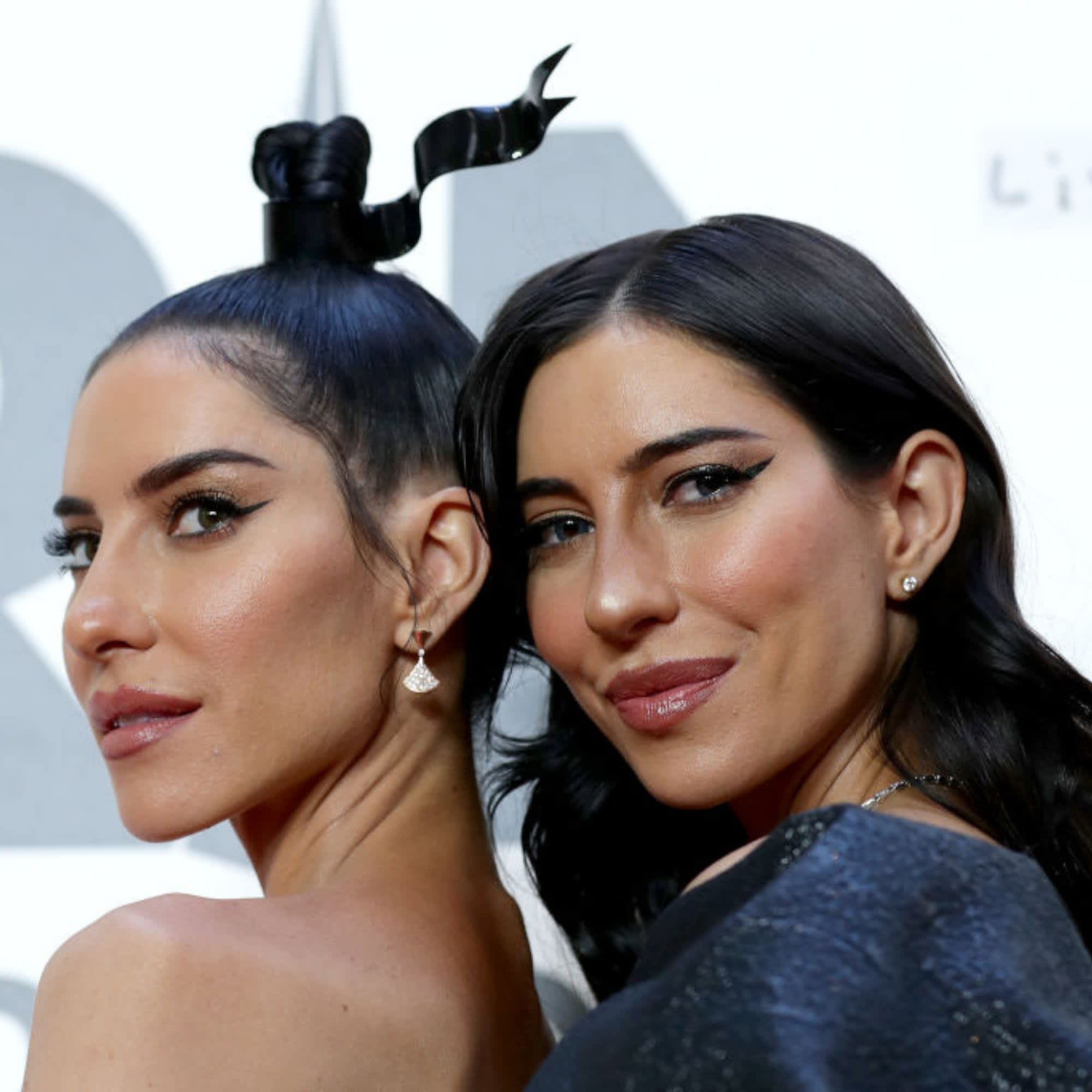 what happened with the veronicas qantas scandal