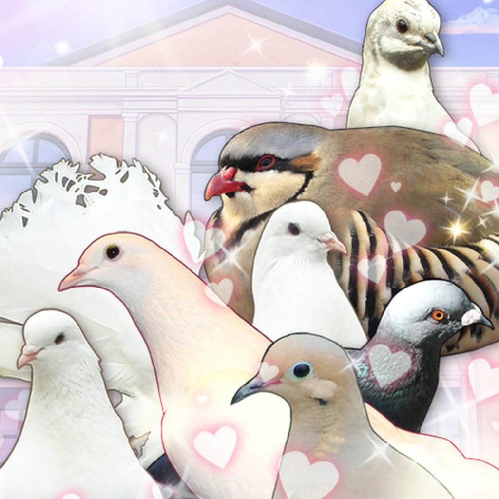 Hatoful Boyfriend